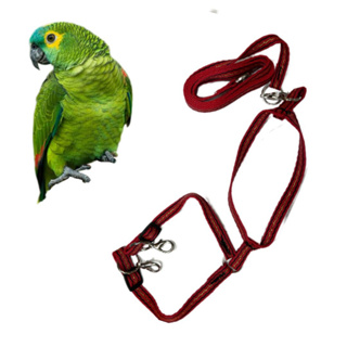 Coleira Guia Peitoral  PAPAGAIO em Oferta na Shopee