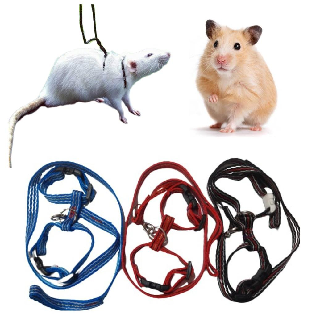 Coleira para ROEDORES HAMSTER e TWISTER em Oferta na Shopee