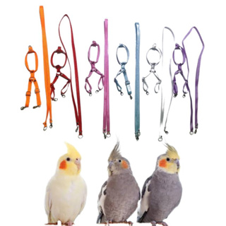 Coleira Guia Peitoral Para Calopsitas em Oferta na Shopee