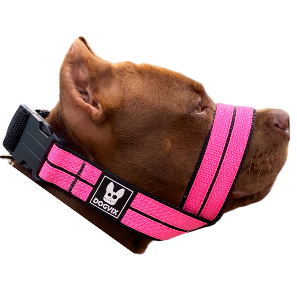 Focinheira Pet Ajustável Para Cães Pitbull Regulável Confortável Dogvix