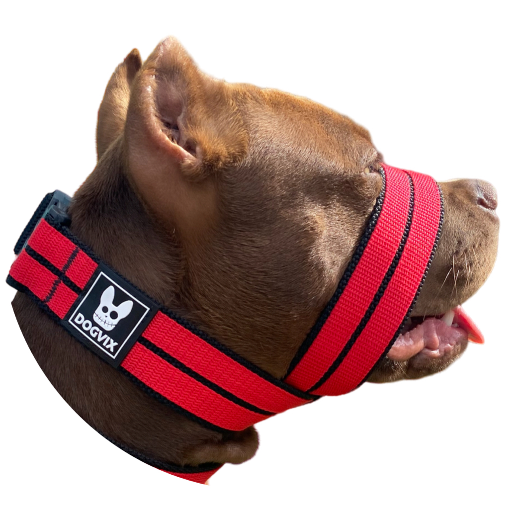 Nova Focinheira de Passeio Para Cães Fácil De Usar Regulável e Super Confortável em Oferta na Shopee