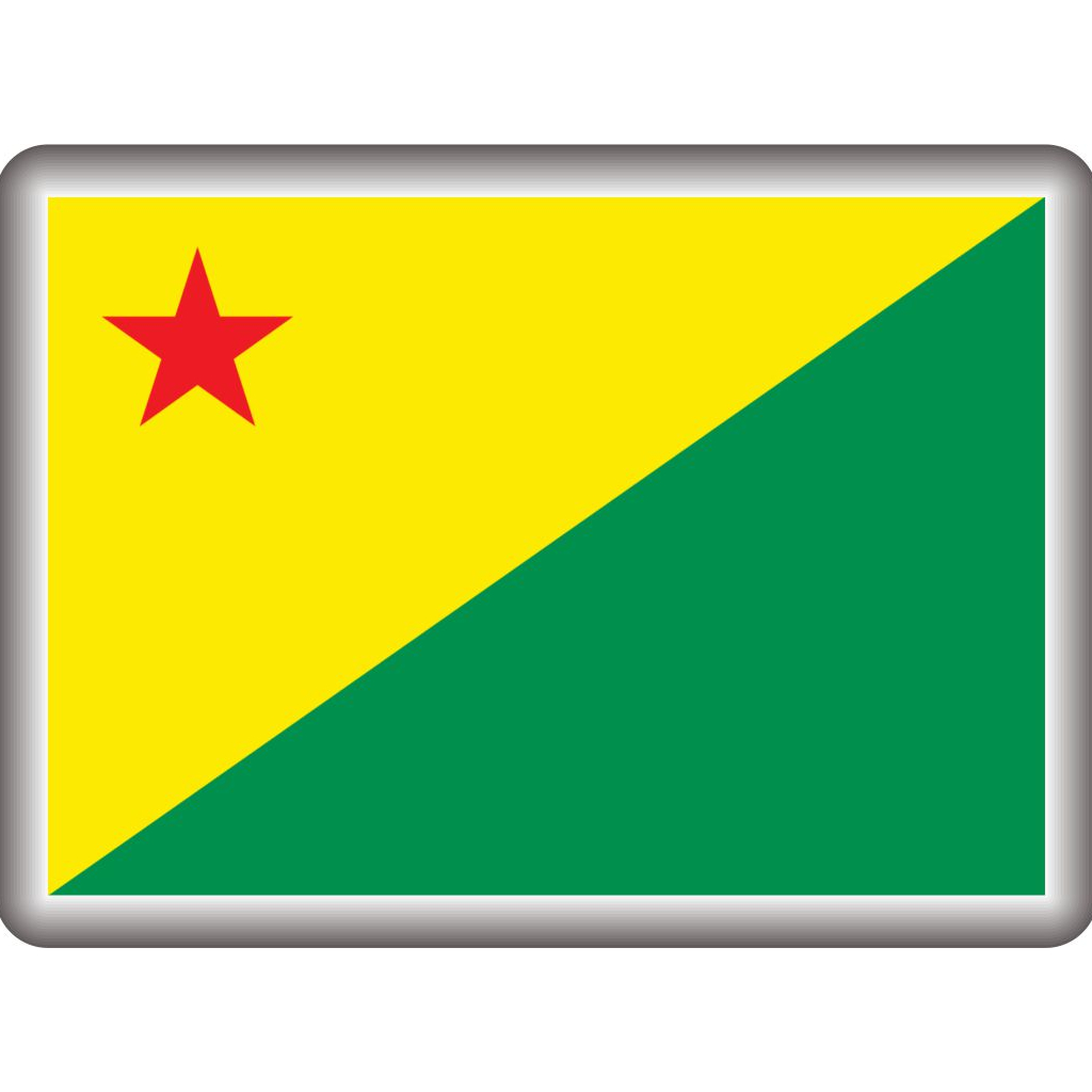 Kit 02 Adesivos 3D Resinados Bandeira do Acre alto relevo 3059