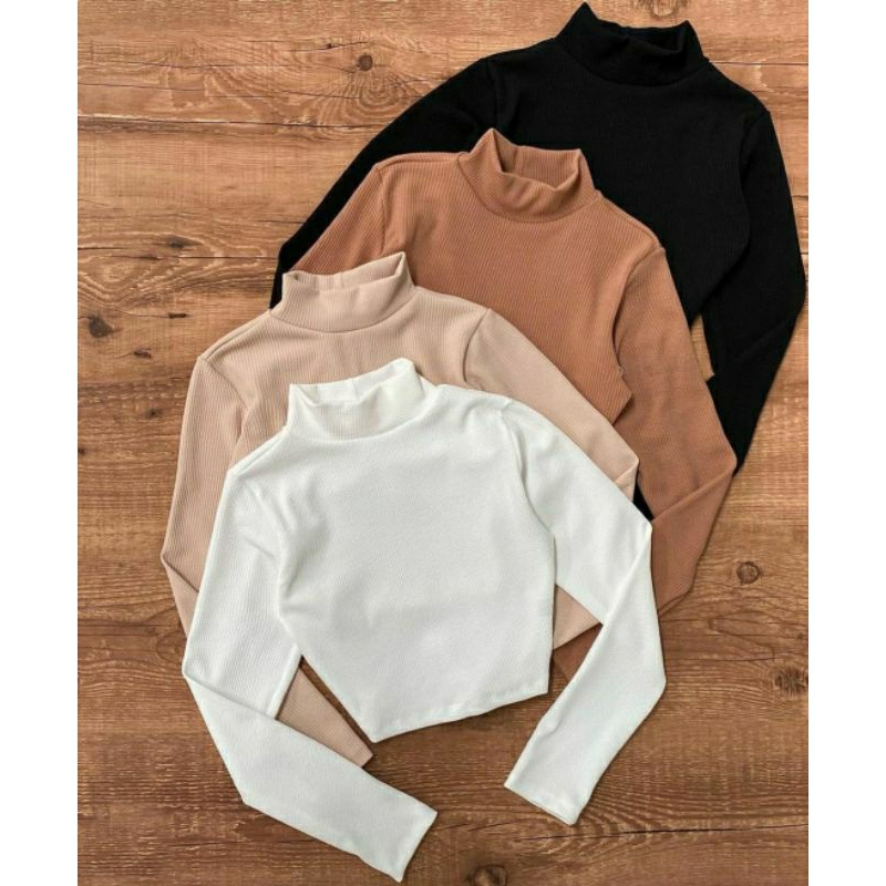 Cropped Manga Longa Comprida Gola alta Inverno