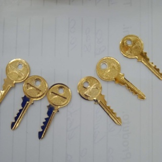 chave para campanha mini chave dourada da vitória pacote com 100 em Oferta na Shopee