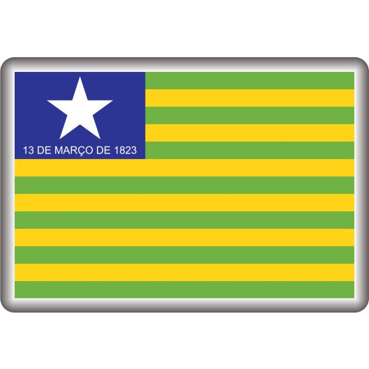 Kit 02 Adesivos 3D Resinados Bandeira do Piauí alto relevo 3075
