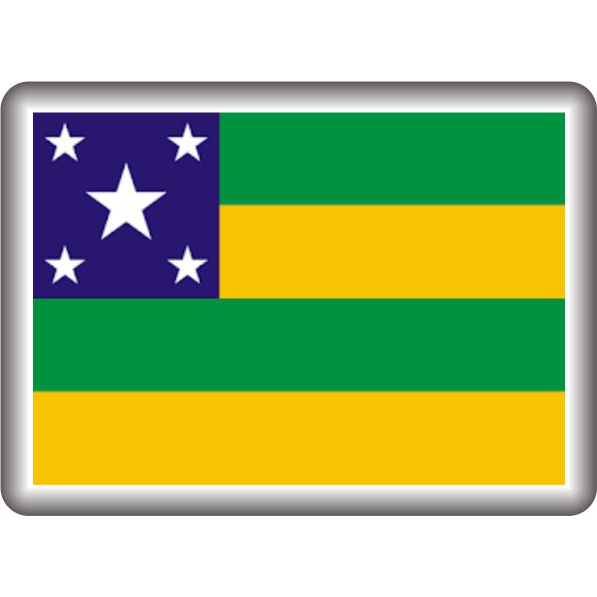 Kit 02 Adesivos 3D Resinados Bandeira Sergipe alto relevo 3080