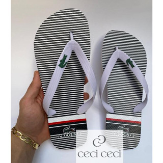 Chinelo Lançamento Masculino Novas Estampas 2023