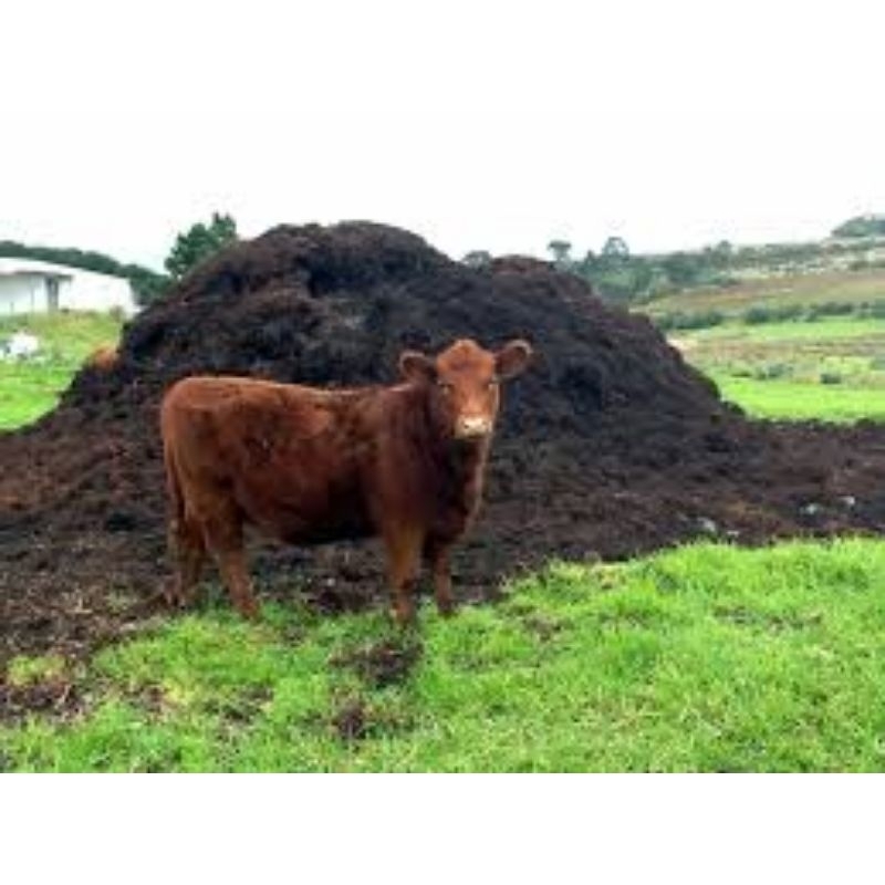 Esterco de gado curtido e peneirado, adubo orgânico, direto da roça, fertilizante orgânico