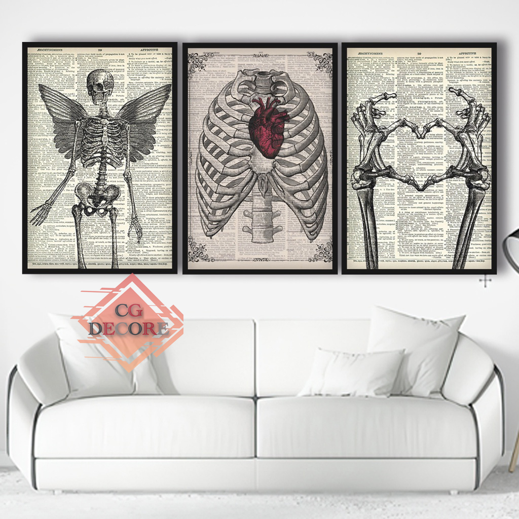 Kit 3 Quadros Decorativo de Parede Corpo Humano Ossos Esqueleto Medicina Jornal Escritório 60X120