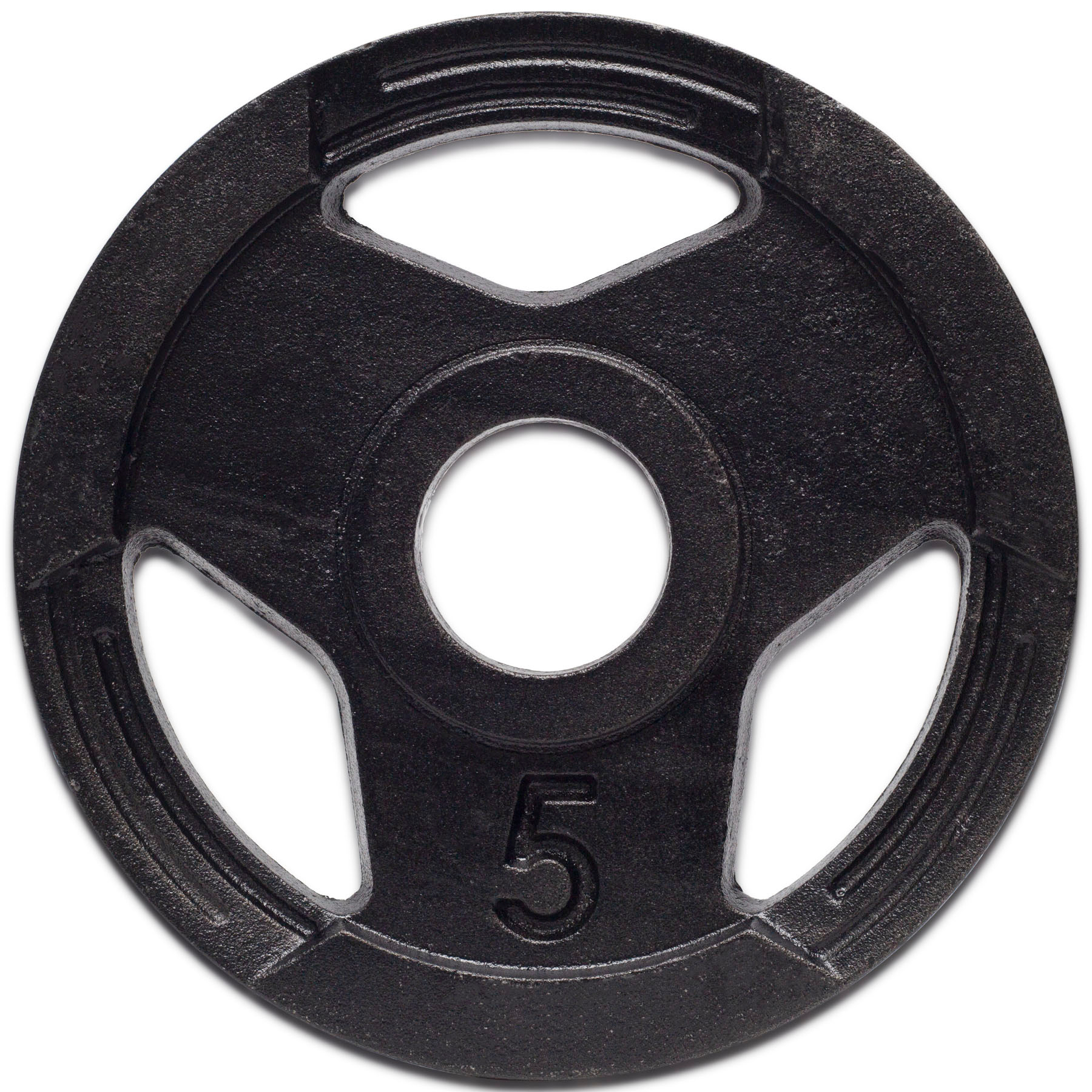 Anilha Standard Pintada 5kg Sport Ferro Fundido Peso de Academia Musculação Fitness