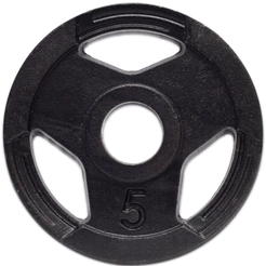 Anilha Standard Pintada 5kg Sport Ferro Fundido Peso de Academia Musculação Fitness