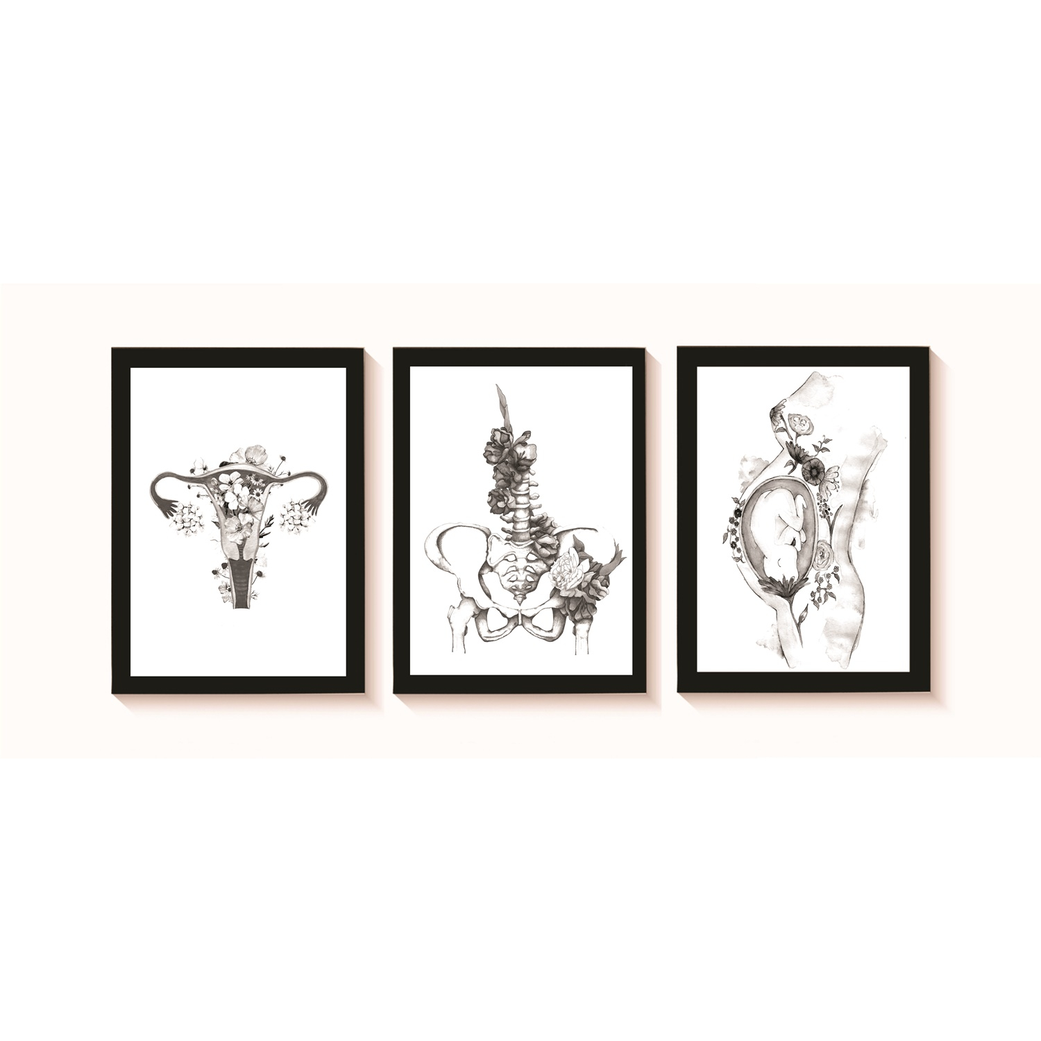 Kit 3 Quadros Decorativos Útero Pelve Gestante Obstetrícia Consultório Clínica Molduras 20x30cm Madeira Vidro Pretas