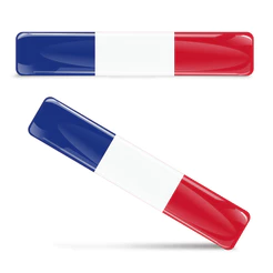 Kit 02 Adesivos 3D Resinados Emblema Bandeira da França em alto relevo
