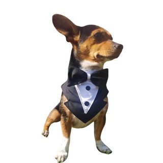 Gravata smooking para cachorros de pequeno porte (ótimo para casamentos e festas)Pet Elegante