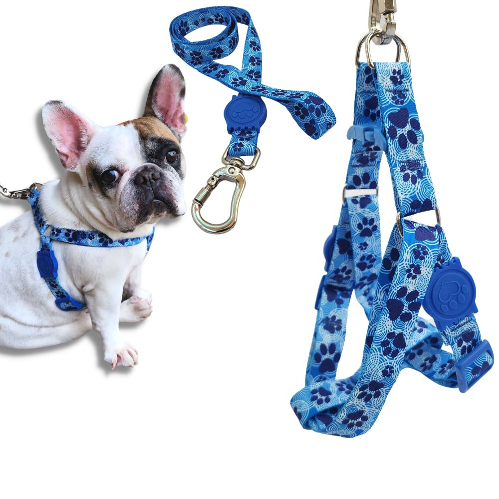 Coleira Peitoral Americano Pet para Cachorro e Gato com Guia e Trava de Segurança Dupla Azul em Oferta na Shopee