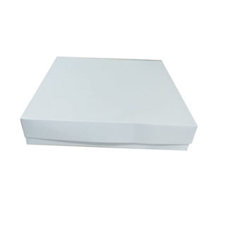 10 Caixas De Papel Para Transporte De Doces Salgados Artesanatos 25x25x5cm em Oferta na Shopee