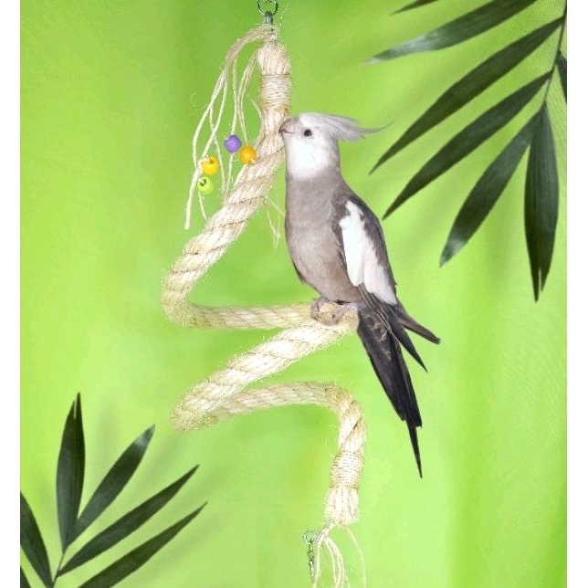 Bico de Calopsita - Comprar com Melhor Preço em Acessórios para Animais de Estimação