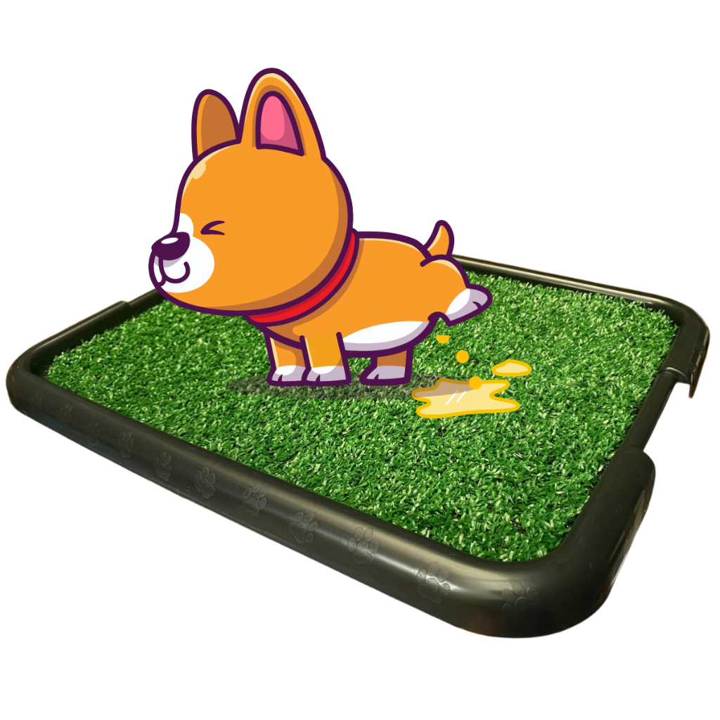 Sanitário Canino Pet Cachorro c/ Grama Sintetica Lavável Tapete Higiênico Xixi Dog Cães em Oferta na Shopee