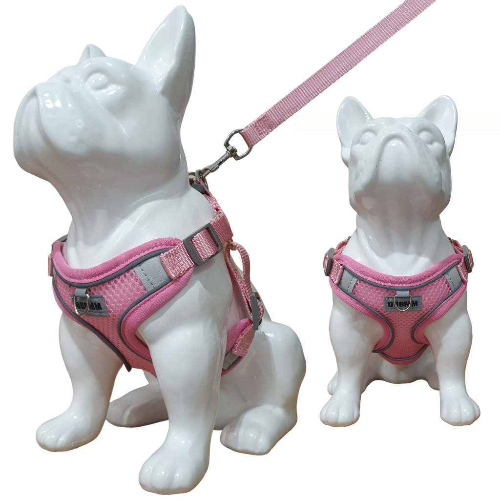 Coleira Peitoral Cachorro e Gato conjunto de guia + coleira tipo colete para pet pequenos e médios arreio trela cachorros