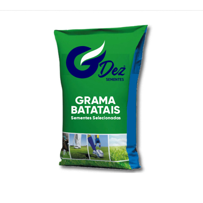 Sementes de Grama Batatais 1kg para jardim e campo de futebol