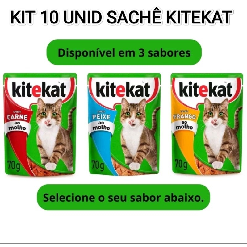 KIT 10 SACHES GATO KITEKAT 65G