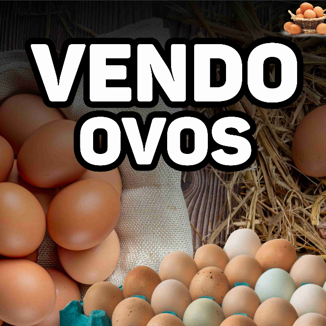 Banner Venda Ovos Propaganda Lona impressão Digital granja cartaz em Oferta na Shopee