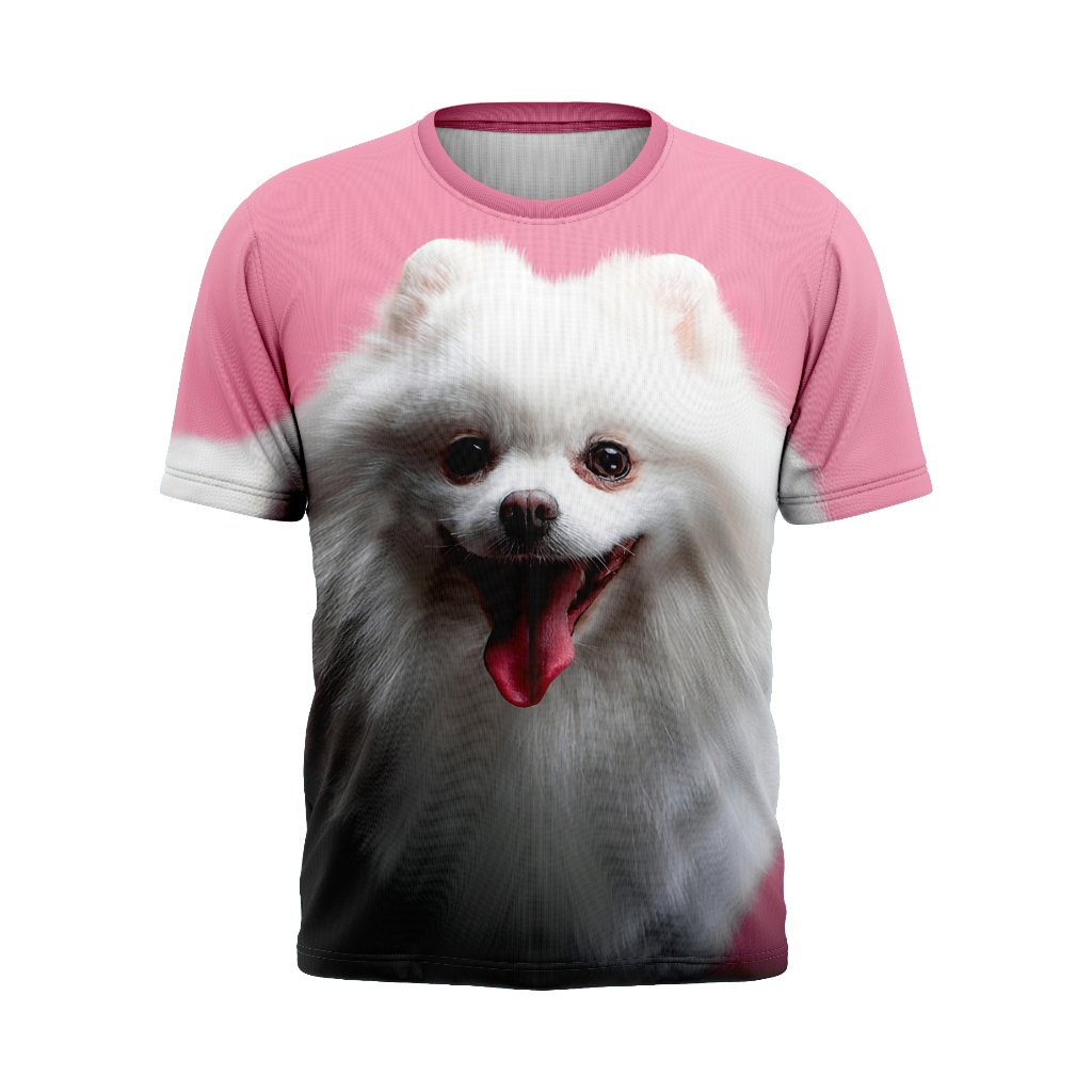 Lulu da Pomerânia Branco: Onde Comprar | BuscaProdutos