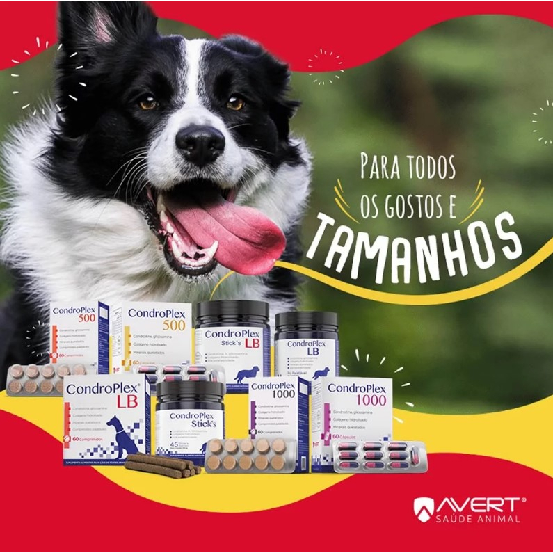 Condroplex 500mg 60 Cápsulas Suplemento para Cães e Gatos Avert · foto 2