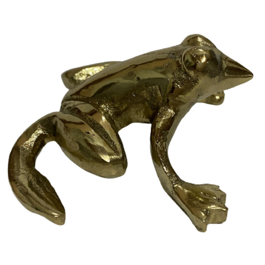 Sapo Perereca Cururu Boi Bufo Rã Místico Riqueza Fortuna