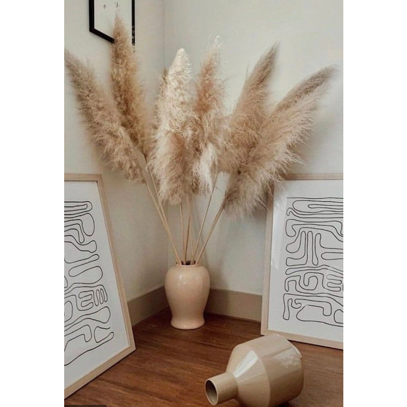 Kit 10 Hastes de Capim dos Pampas Natural com Plumas Diversas Quantidades