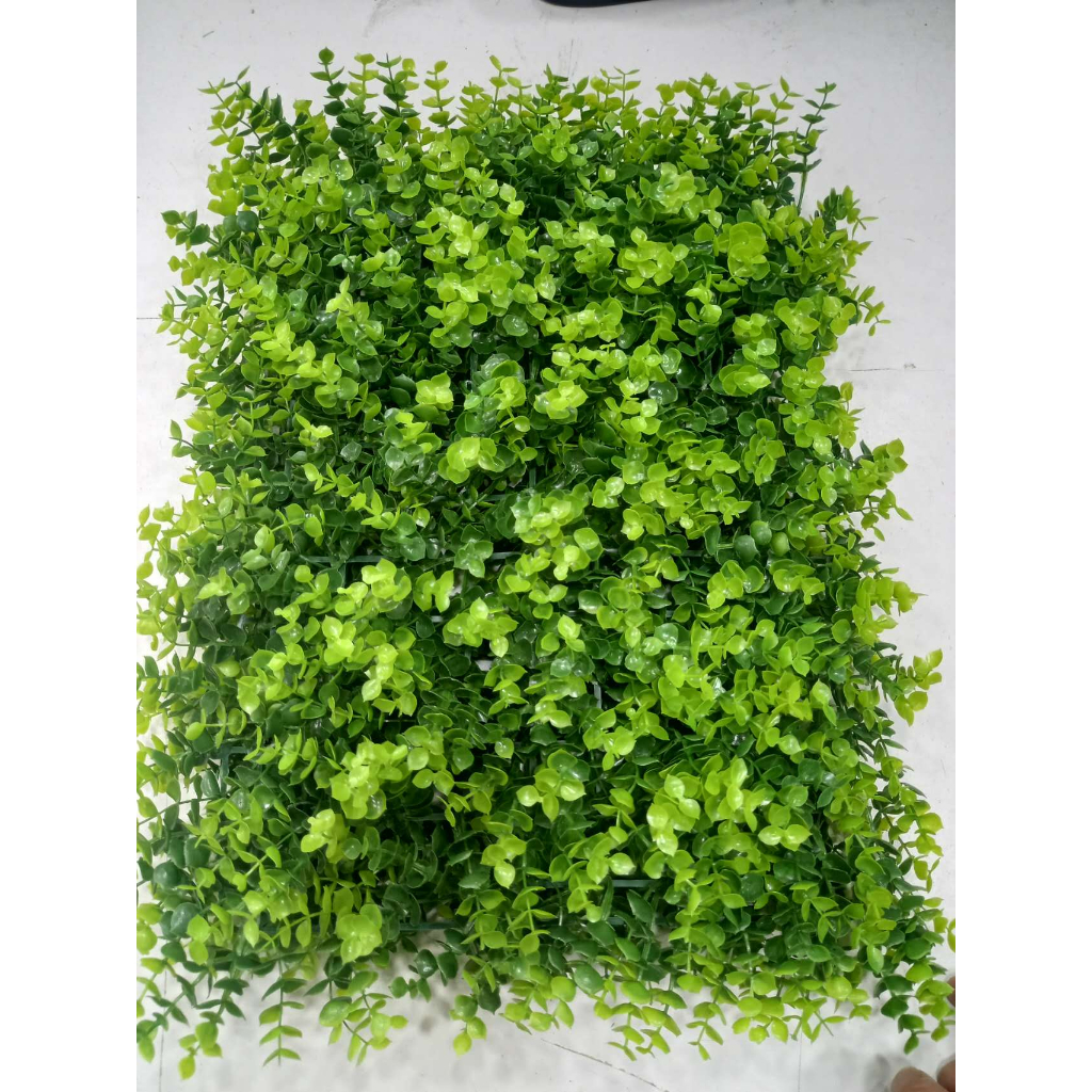 Placa de samambaia/Eucalipto40x30cm em Oferta na Shopee