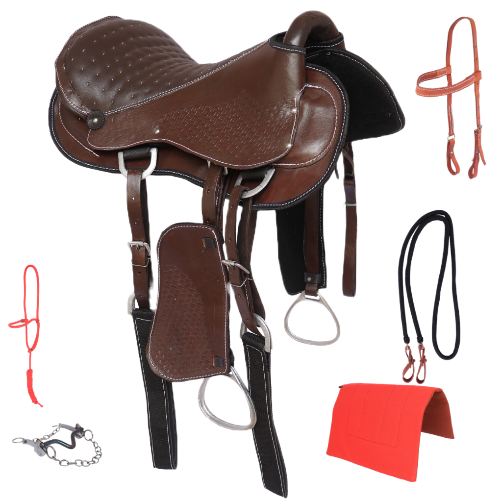 Cela Australiana De Arco Padrão Arreada Cavalgada Top