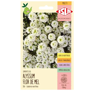 Sementes Alyssum Flor de Mel Sem Agrotóxico Isla em Oferta na Shopee