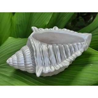 Concha do Mar Decorativo Vaso Escultura Concha da Sereia