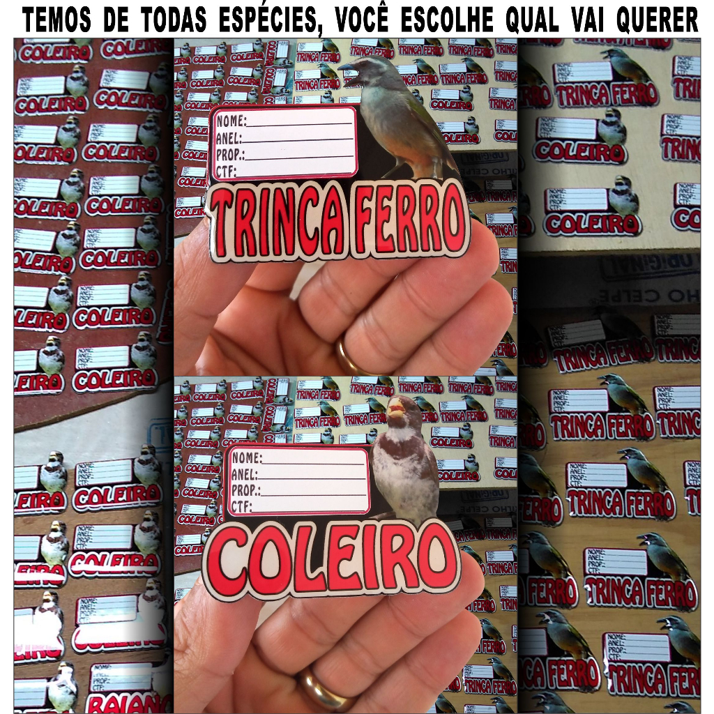 PLACA GAIOLA PASSARO TODAS ESPECIES TRINCA FERRO COLEIRO BAIANO AZULAO TIZIU CANARIO BICUDO CURIO CORRUPIÃO CARDEAL em Oferta na Shopee