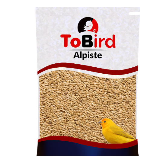 Alpiste 5 Kg - Semente de Alpiste para alimentação animal - Pássaros - Alpiste Tipo Canadense em Oferta na Shopee