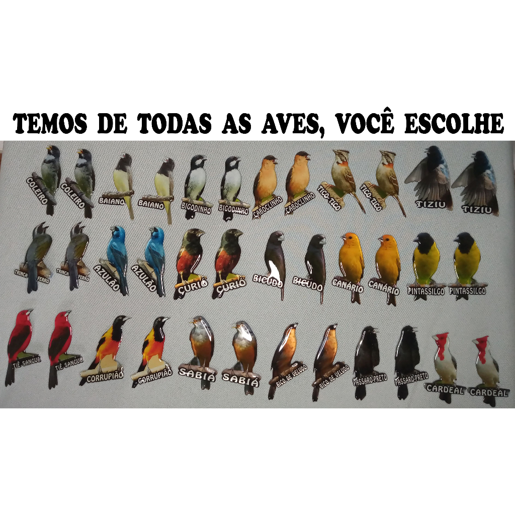 12 PLACAS GAIOLA PASSARO TODAS ESPECIES TRINCA FERRO COLEIRO BAIANO AZULAO TIZIU CANARIO CURIO