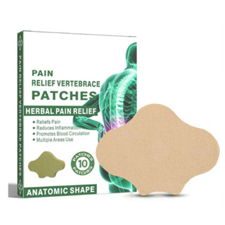Kit 10 Adesivos Terapéuticos Para Alivio De Dor No espinha lombar
