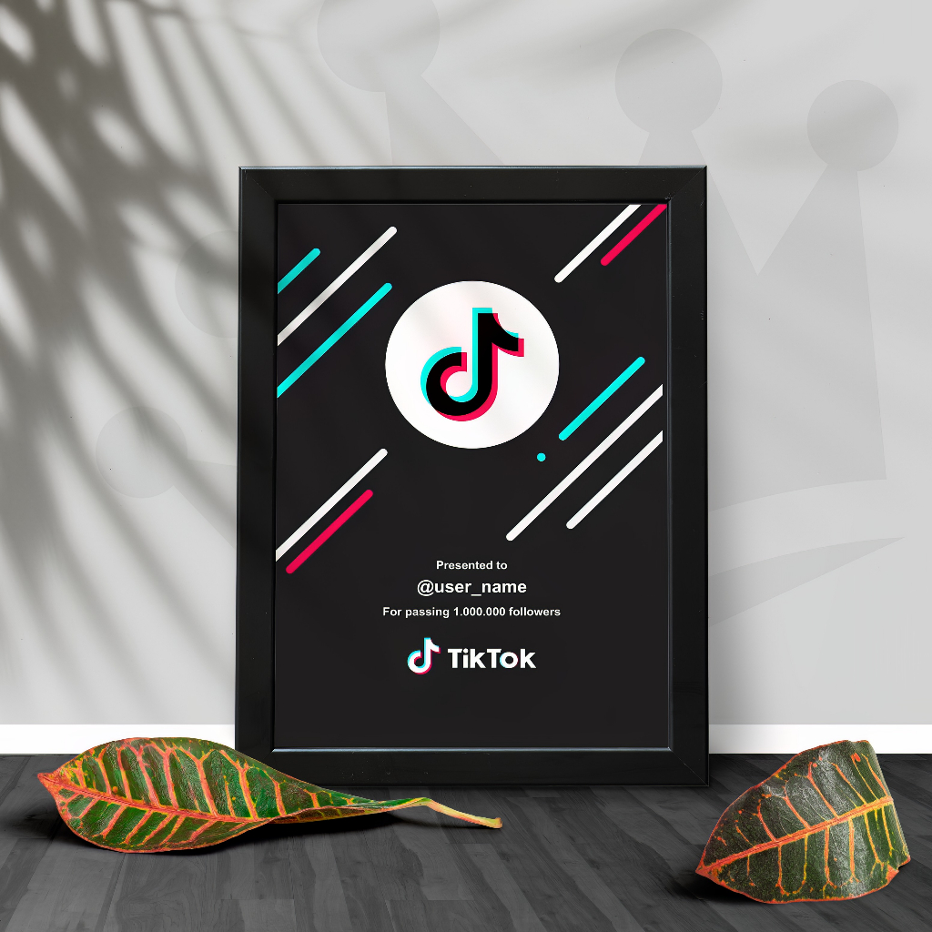 Quadro Moldurado Placa com Nome e Número de Seguidores TikTok Personalizado- Tamanho 24x33cm - Redes Sociais