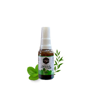 Spray Composto de Própolis, Guaco, Menta e Mel Casa do Mel 30ml
