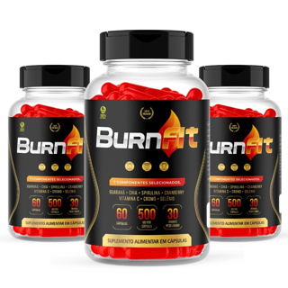 Burn Fit Composto Natural Com Cromo e Selênio Sua Composição Tem Altos Níveis De Vitamina C (03 Potes)