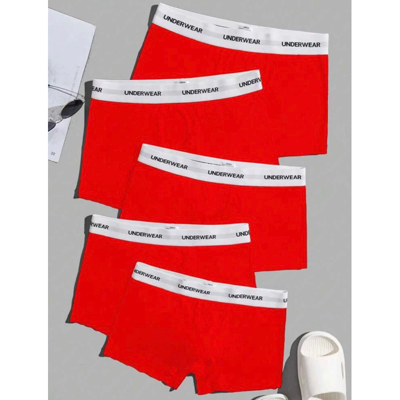 Cuecas boxer kit com 5 cuecas sortidas