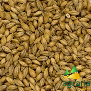 Malte Pilsen Agrária 1kg