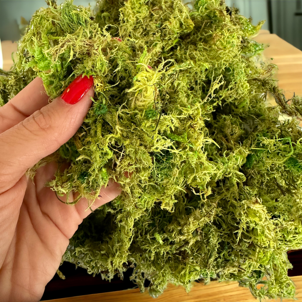 Pacotinho: Guia Completo e Onde Comprar | BuscaProdutos