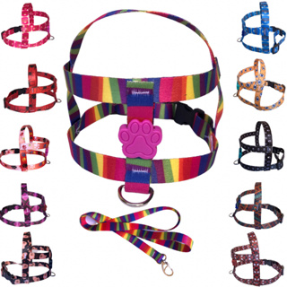 coleira com guia para cachorro pequeno médio porte ajustável shitzu yorkshire poodle em Oferta na Shopee