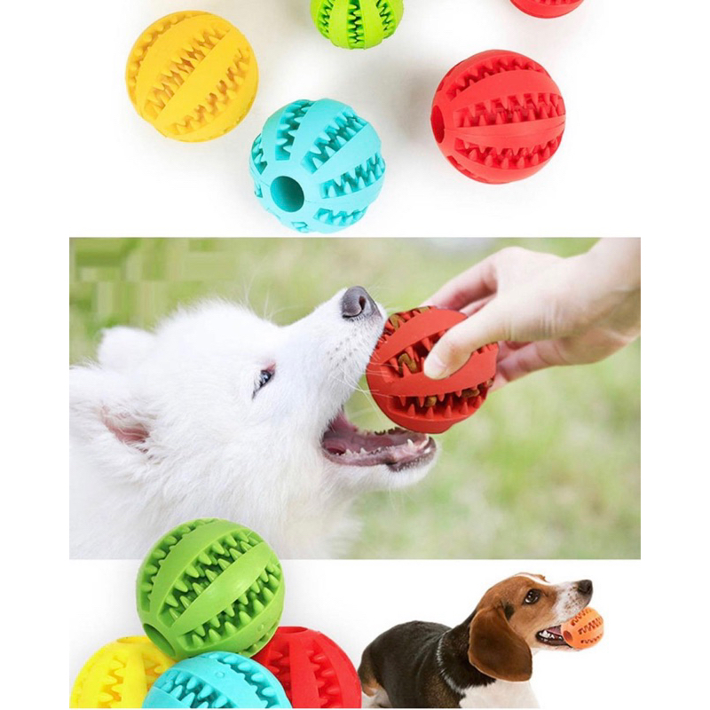 Bola Multifuncional Escova Mordedor Porta Petisco Pet Ball, o brinquedo perfeito para o seu pet!