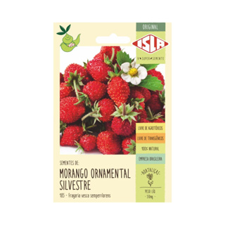 800 sementes de Morango Silvestre para plantio em Oferta na Shopee