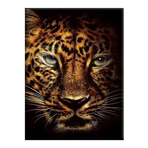 Quadro Decorativo Grande70x50 Onça Pintada Pantanal Felino Rajado