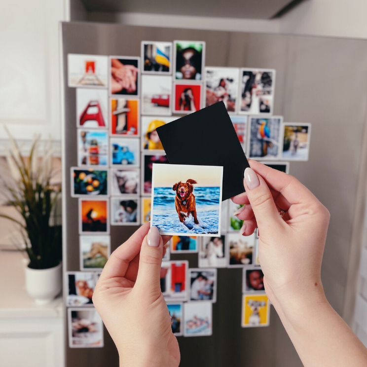 Kodak Câmera Profissional: Onde Comprar | BuscaProdutos