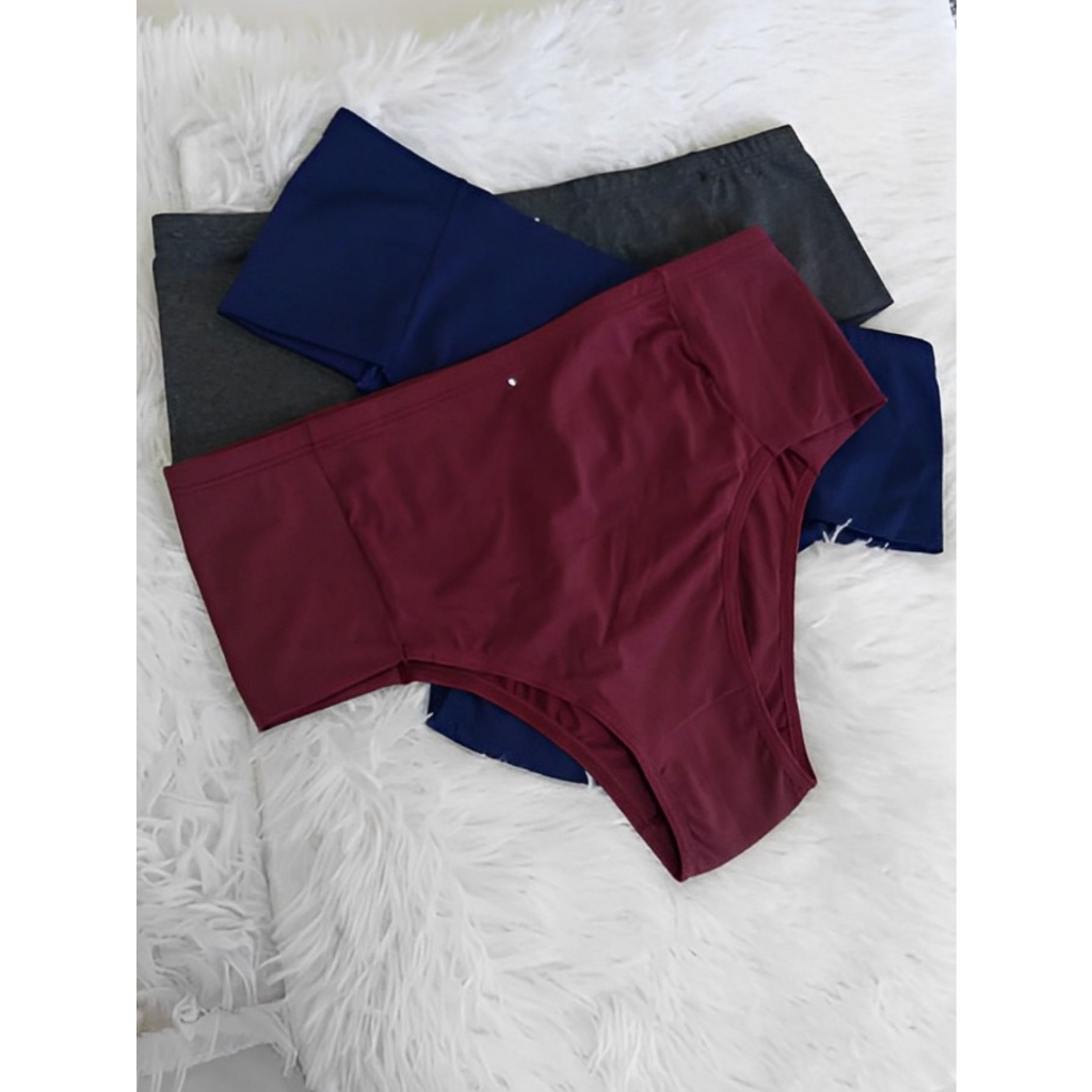 Kit 3 Calcinhas Alta Pala Dupla Lingerie em Microfibra (814)